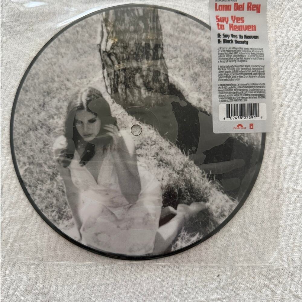Lana Del Rey NWT | Say Yes To Heaven & Black Beauty singles 7" vinyl record